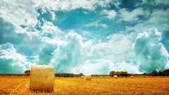 landscape nature sky field clouds haystacks Plants outdoors