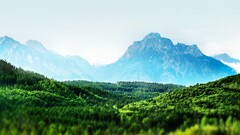 landscape nature tilt-shift Mountains forest clear sky Green