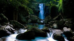 landscape nature waterfall water stones rock Plants river forest