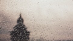 landscape water drops rain Trees water on glass