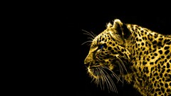 leopard Animals black background Fractalius leopard (animal)