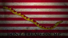 libertarianism flag united states Navy