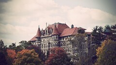 mansions Trees building