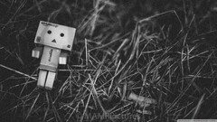 monochrome carton box danbo