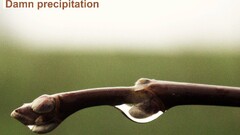 Month branch closeup text fuckscape April humor