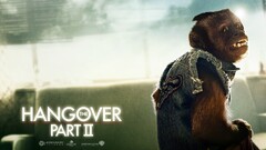 Movies Hangover Part II 2011 (Year) monkey