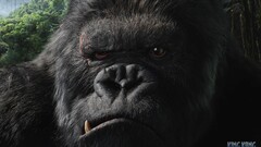 Movies King Kong 2005 (Year) creature