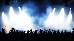 Music concerts arms up