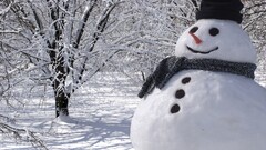 nature carrot smiling snow winter scarf sunlight white Snowmen
