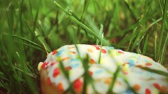 nature grass food donut macro Green doughnuts