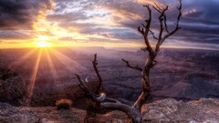 nature hdr sunset clouds Trees Grand Canyon sunlight sky sun