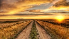 nature sunset road hdr sky clouds sunlight dirt road field