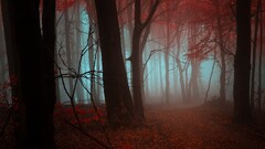 nature Trees fall forest red mist path deep forest