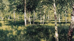 nature Trees forest Oil Painting