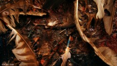 nine inch nails The Downward Spiral dirt