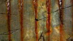 nine inch nails The Downward Spiral texture