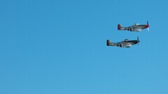 North American P-51 Mustang military aircraft vehicle Aircraft