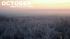 October Month Plants outdoors