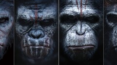 Planet of the Apes Dawn of the Planet of the Apes apes Movies