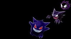 Pokémon Gengar Ghastly haunter video games