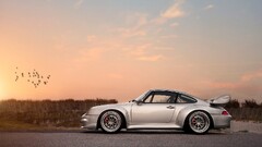 porsche 911 Car Porsche Birds outdoors sky silver cars vehicle
