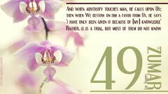 Qur'an Islam numbers