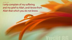 Qur'an Islam prophet Allah verse worship