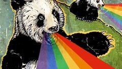 rainbows ratatat panda Animals Bears artwork