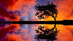 reflection Trees red silhouette orange sky water Lake orange