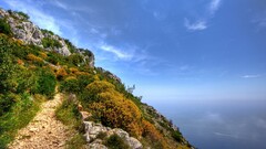 Sea coast nature landscape rock path shrubs sky
