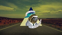 sloths humor road Life death triangle quote