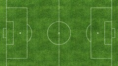 soccer pitches grass