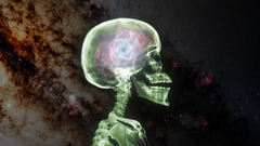 Space nebula colorful x-rays Bones