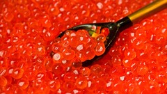 spoon caviar food red