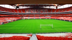 stadium slb grass