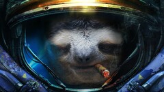 starcraft ii sloths cigars humor starcraft video games