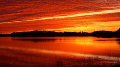 sunset red sun sky sunlight