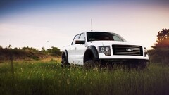 Transport Car vehicle outdoors Ford Plants white cars Ford F-150