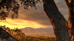 Trees Mountains landscape orange sky