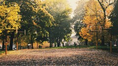 Trees Park urban fall basketball court