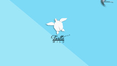 turtle Minimalism artwork cyan background cyan