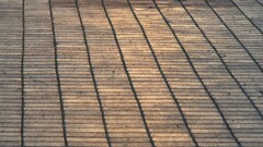 urban pavements lines brown vertical