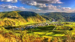 vineyard Mountains germany