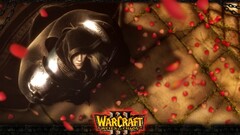 warcraft Warcraft III: Reign of Chaos warcraft iii 2009 (Year)