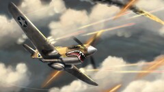 warplanes artwork Aircraft military aircraft p40 Warbird vehicle