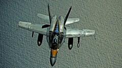 warplanes F/A-18 Hornet Aircraft military military aircraft