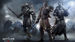 warrior the witcher 3 wild hunt Eredin