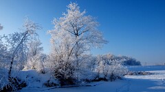 winter landscape snow clear sky sky blue sky blue frost