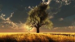 3d Trees Plants field sky clouds sun