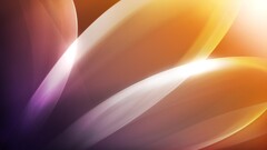 abstract colorful leaves